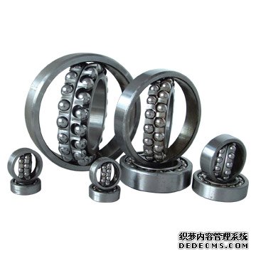 SKF��С����������